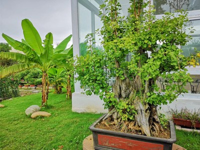 產(chǎn)品名稱四